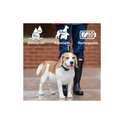 PetSafe Audible ugatásgátló nyakörv